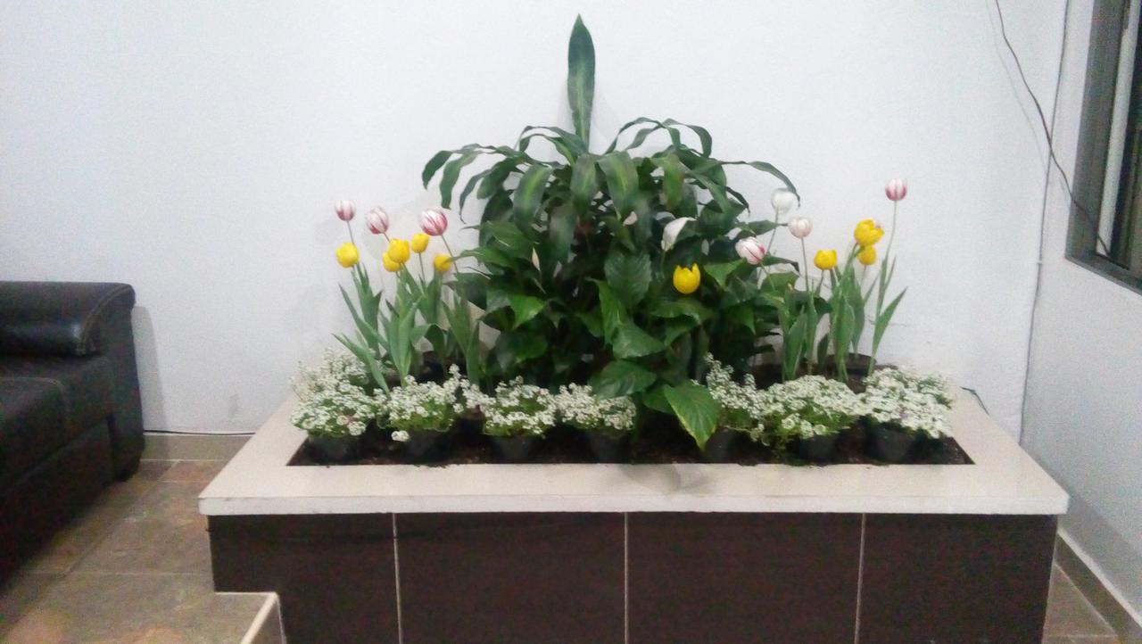 Hotel Alo Inn Xalapa Eksteriør bilde